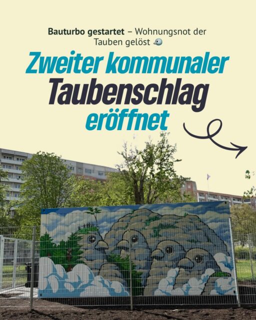 🏗️🕊️Mit dem zweiten kommunalen
Taubenschlag in Erfurt sorgen wir neben mehr Tierschutz, auch für eine Entlastung  unsere Stadtbewohner*innen. Weniger
Taubennachwuchs heißt weniger Verschmutzung - ein Gewinn für alle!🌿✨

#erfurt #grüneerfurt #taubenschlag #stadttauben #erfurterstadttauben