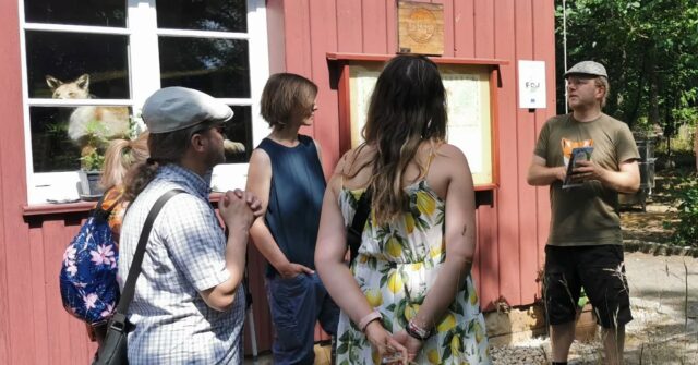 🦊 Ausflug zur Fuchsfarm 💚

Vor ein paar Wochen durften wir die Fuchsfarm näher kennenlernen - ein ganz besonderer Ort zum Natur erleben am Rande des Steigerwalds. Im Rahmen einer Führung durch das Gelände lernten wir die vielen tollen Projekte kennen:

🐝 Die Bienenkästen zur Honigherstellung
🪷🐸 die neu gestalteten Teiche für vielfältige Lebensräume
🤸 die Entdecker*innen-Wiese
...und vieles mehr!

Die Türen der Fuchsfarm stehen zu den Öffnungszeiten allen offen. Einen Besuch können wir nur wärmstens empfehlen! 🐾🦉🦋🪻💚