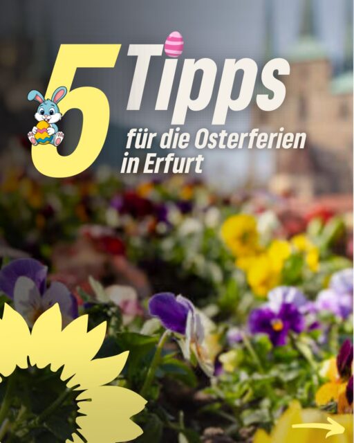 🌷Osterferien in Erfurt – noch nichts geplant?

Wir haben 5 Tipps für euch, wie ihr die freie Zeit kreativ, spannend und abwechslungsreich gestalten könnt:

✨ Kreativ werden beim Papier-Workshop im Museum für Thüringer Volkskunde
🎨 Mitmachangebote rund um Pessach im Netzwerk Jüdisches Leben
🏺 Spannende Workshops im Stadtmuseum für kleine Entdecker:innen
🖌️ Kunst & Design erleben im Angermuseum
📅 Noch mehr Angebote im Ferienkalender des Stadtjugendrings

Speichert euch die Tipps ab und plant eure Osterferien! 🌼🐣

#erfurt #osterferien #familie #kinder #freizeit